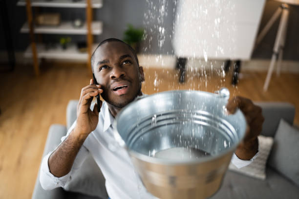 Best Mold removal after water damage  in Copperopolis, CA