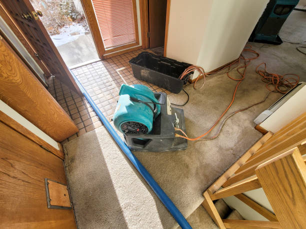 Best Commercial water damage restoration  in Copperopolis, CA