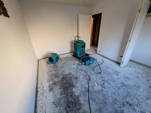 Best Water damage cleanup near me  in Copperopolis, CA