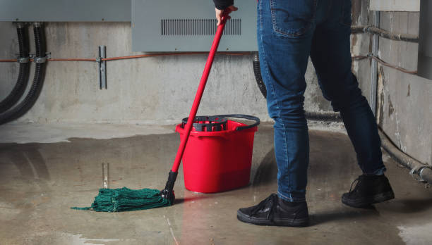 Best Water damage restoration services  in Copperopolis, CA