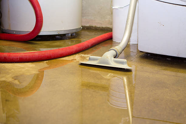  Copperopolis, CA Water damage restoration Pros