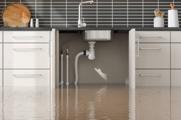 Best Water damage restoration near me  in Copperopolis, CA