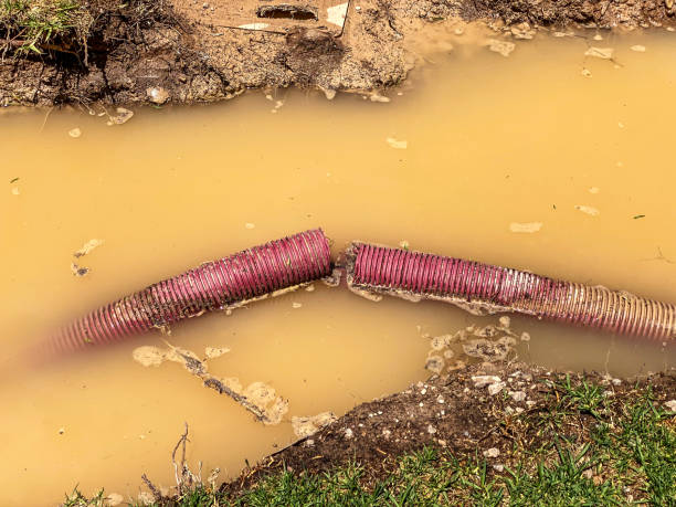 Best Local water damage restoration  in Copperopolis, CA
